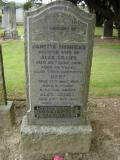 image of grave number 209502